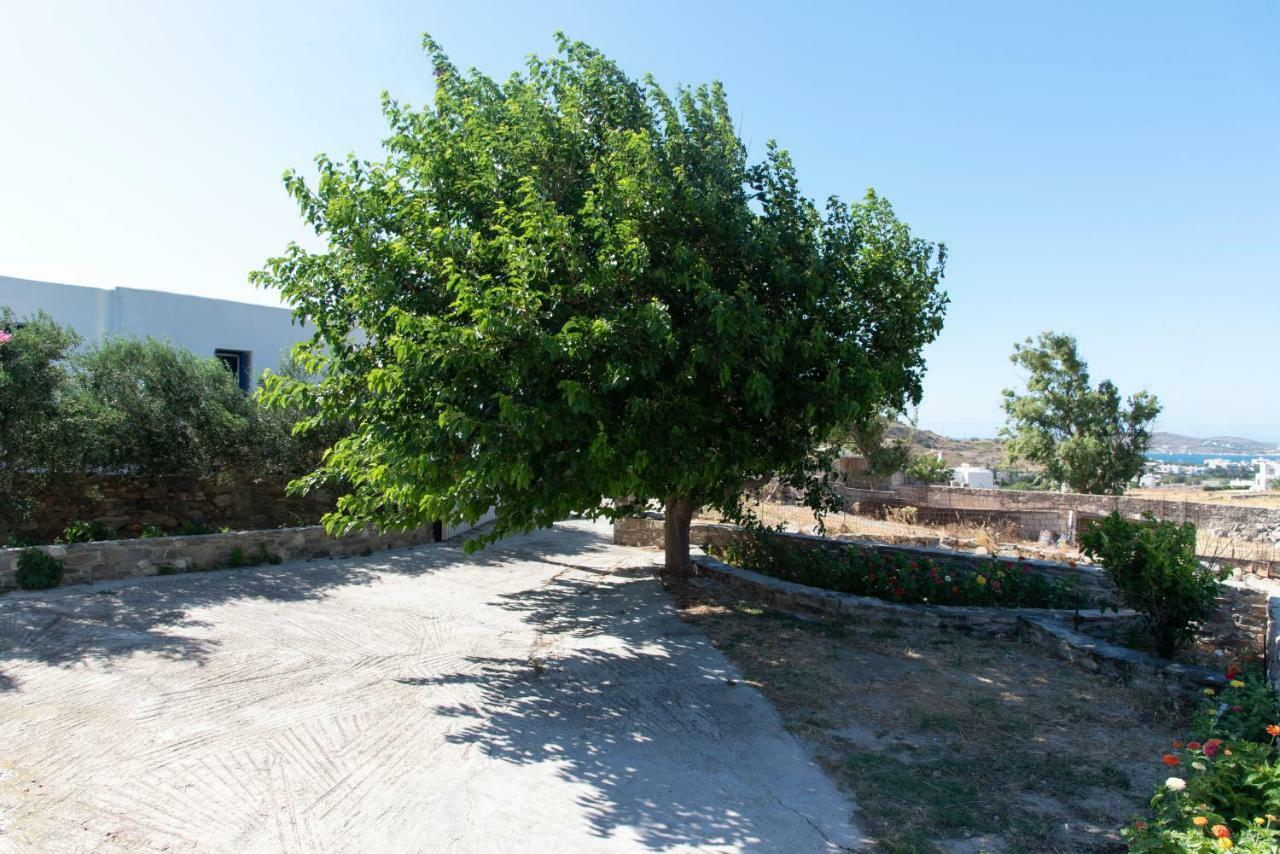 Villa Tonia Parasporos Dış mekan fotoğraf