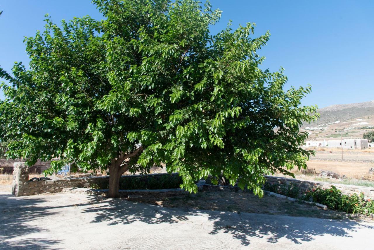 Villa Tonia Parasporos Dış mekan fotoğraf